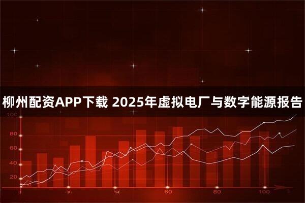 柳州配资APP下载 2025年虚拟电厂与数字能源报告